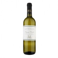 bottiglia verdicchio vigna verde tavignano